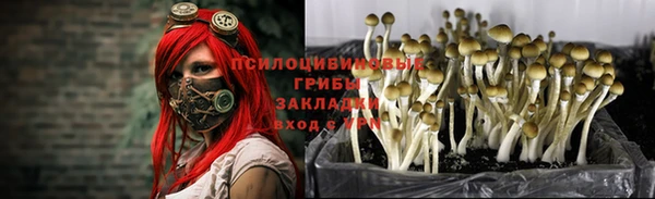 мет Абдулино
