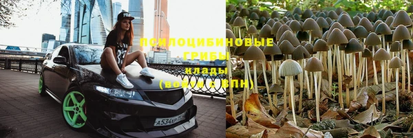 герыч Абаза