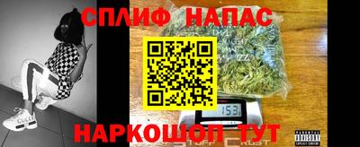 мяу мяу мука Можайск