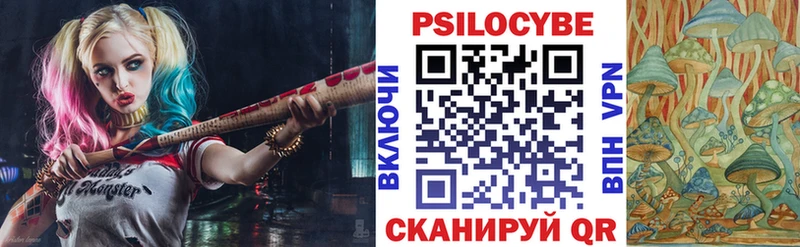 где купить наркоту  darknet состав  Псилоцибиновые грибы мицелий  Кинешма 