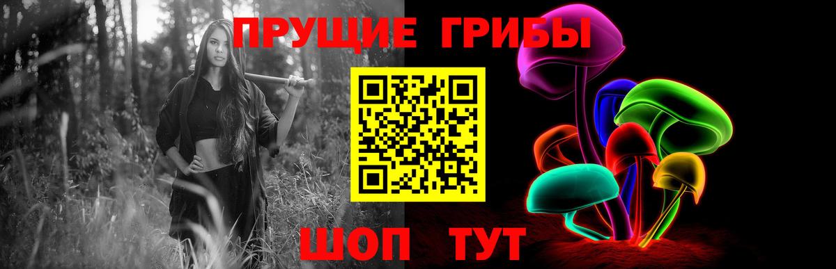 как найти закладки  Псилоцибиновые грибы Magic Shrooms  Галлюциногенные грибы Psilocybe  Вход с VPN  Кинешма 