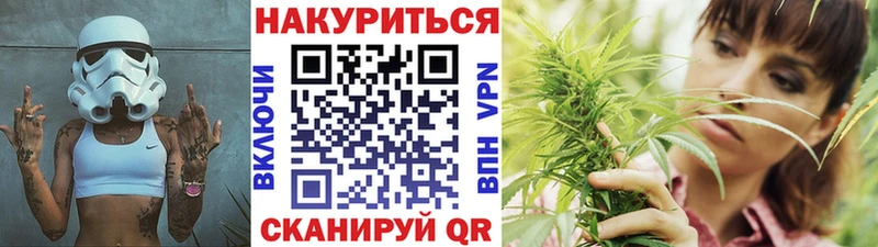где можно купить   mega как войти  Конопля семена  нарко площадка состав  Кинешма 