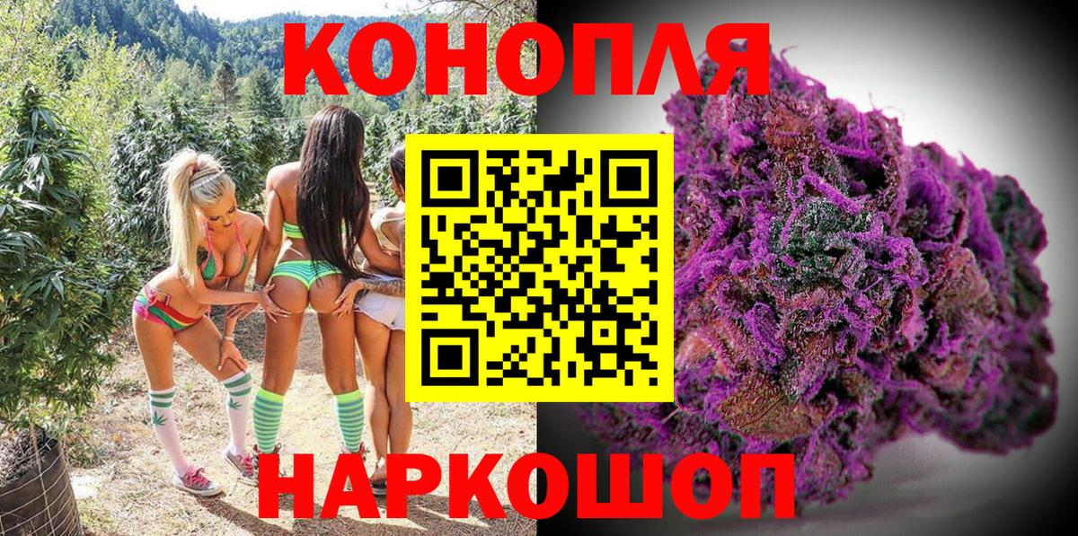 Шишки марихуана семена Кинешма